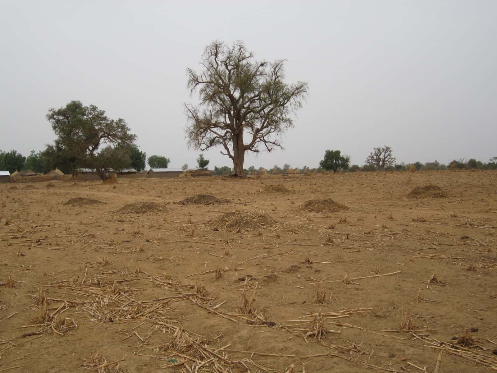 Multi-stakeholder dialogue to reverse paradigms in forest conservation and land governance policies and strategies