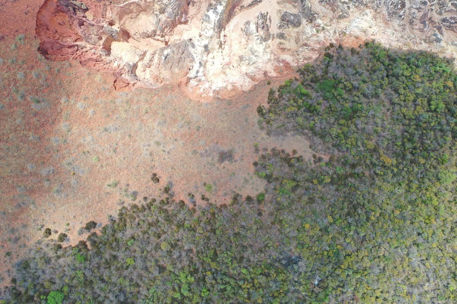 ViSA Africa in action