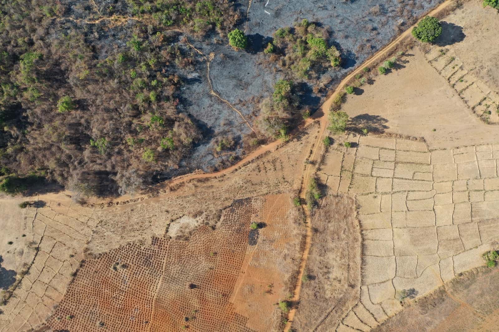 Adaptation & Resilience